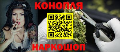 крисы Кулебаки