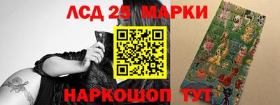 крисы Кулебаки