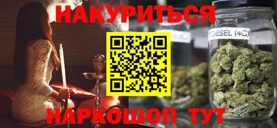 крисы Кулебаки