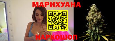 крисы Кулебаки