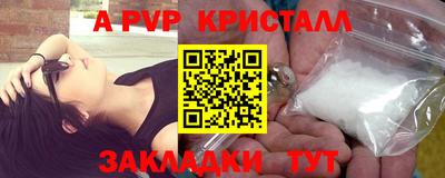 крисы Кулебаки