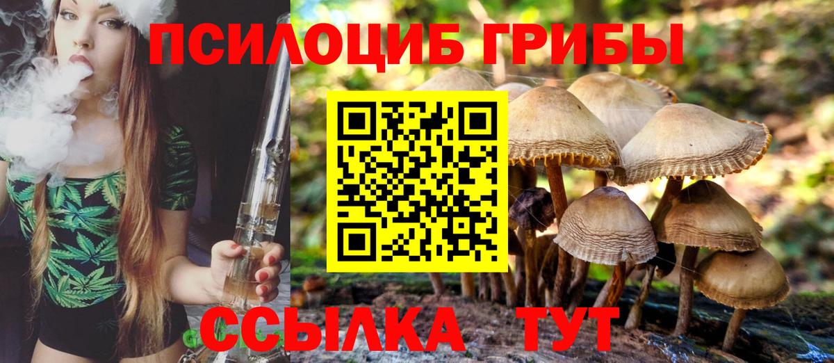 Джанкой  Псилоцибиновые грибы ЛСД  купить наркотик  Вход с VPN 