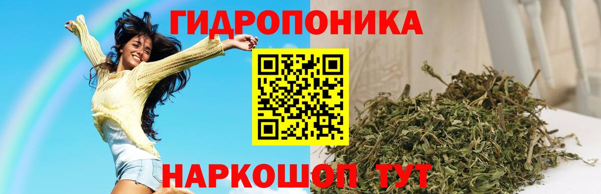 Каннабис сатива Джанкой